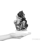 Galena with Chalcopyrite Natural Cluster from the Vtoroy Sovetskiy Mine, Dalnegorsk, Primorskiy Kray, Russia mounted on a bespoke stand | Venusrox