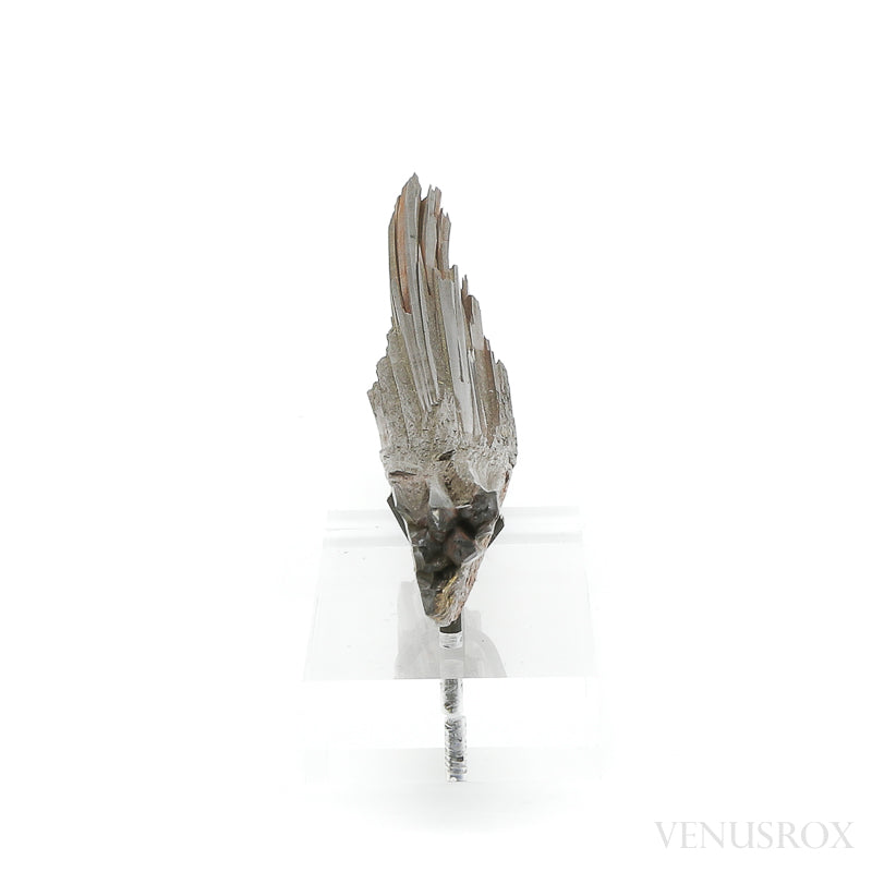 Hematite 'Needle Ore' Natural Specimen from the South Western Region (Furness), Cumbria, UK mounted on a bespoke stand | Venusrox