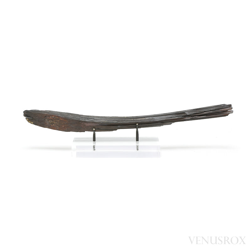 Hematite 'Needle Ore' Natural Specimen from the South Western Region (Furness), Cumbria, UK mounted on a bespoke stand | Venusrox