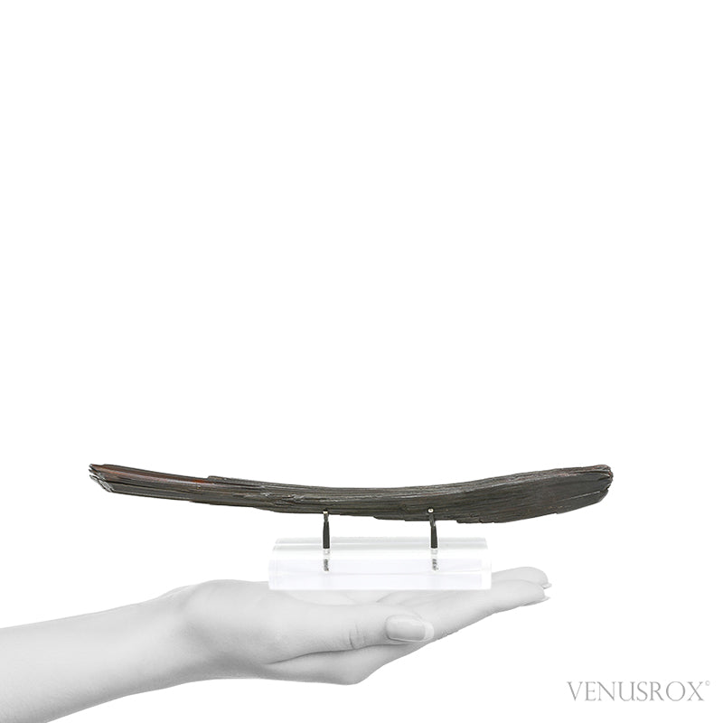 Hematite 'Needle Ore' Natural Specimen from the South Western Region (Furness), Cumbria, UK mounted on a bespoke stand | Venusrox