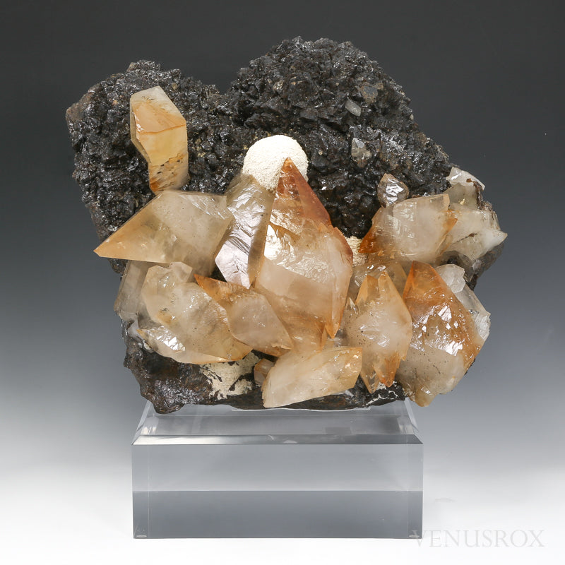 Stellar Beam Calcite on Sphalerite Natural Cluster from the Elmwood Mine, Tennessee, USA mounted on a bespoke stand | Venusrox