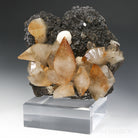 Stellar Beam Calcite on Sphalerite Natural Cluster from the Elmwood Mine, Tennessee, USA mounted on a bespoke stand | Venusrox