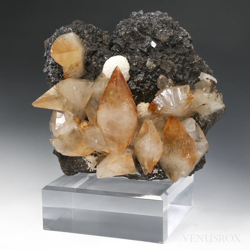 Stellar Beam Calcite on Sphalerite Natural Cluster from the Elmwood Mine, Tennessee, USA mounted on a bespoke stand | Venusrox