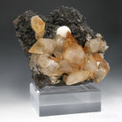 Stellar Beam Calcite on Sphalerite Natural Cluster from the Elmwood Mine, Tennessee, USA mounted on a bespoke stand | Venusrox