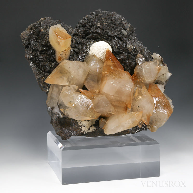 Stellar Beam Calcite on Sphalerite Natural Cluster from the Elmwood Mine, Tennessee, USA mounted on a bespoke stand | Venusrox