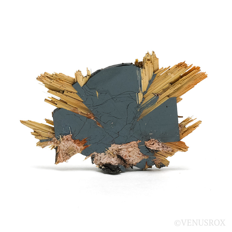 Golden Rutile on Hematite Natural Specimen from Novo Horizonte, Bahia, Brazil | Venusrox