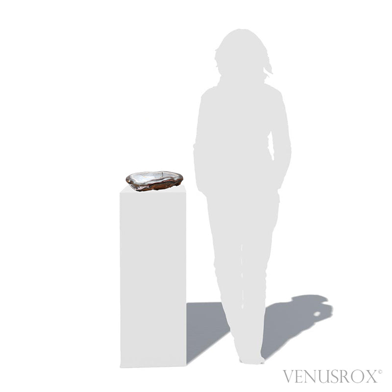 Agate Part Polished/Part Natural Geode from Brazil mounted in a bespoke stand | Venusrox