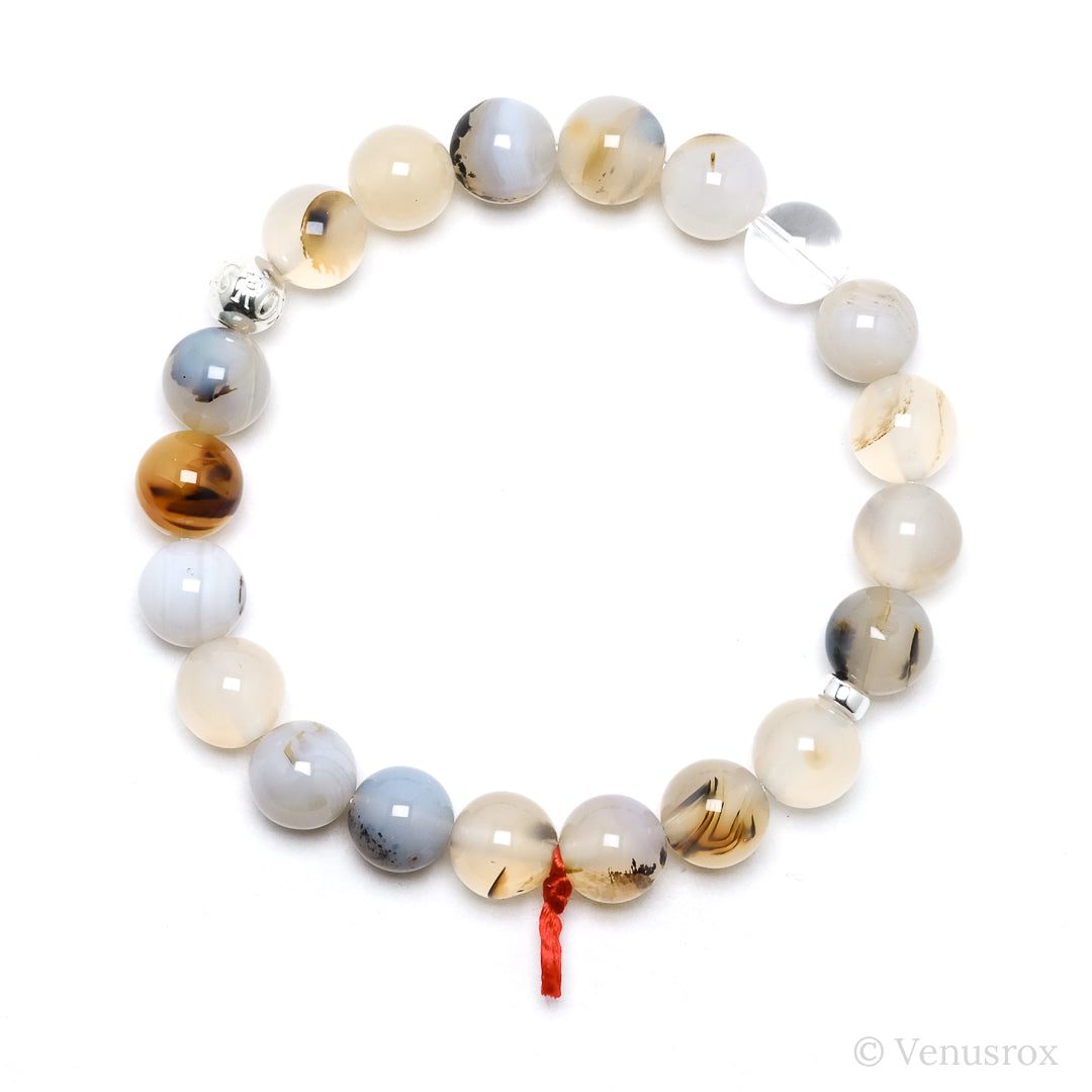 Montana Agate Bracelet from the USA | Venusrox