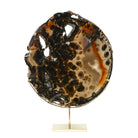 Agate Polished Slice from Brazil mounted in a bespoke stand | Venusrox