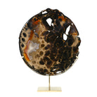Agate Polished Slice from Brazil mounted in a bespoke stand | Venusrox