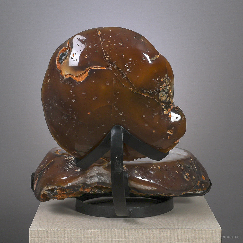 Agate with Clear Quartz Part Polished Nodule from Brazil mounted on a bespoke stand | Venusrox