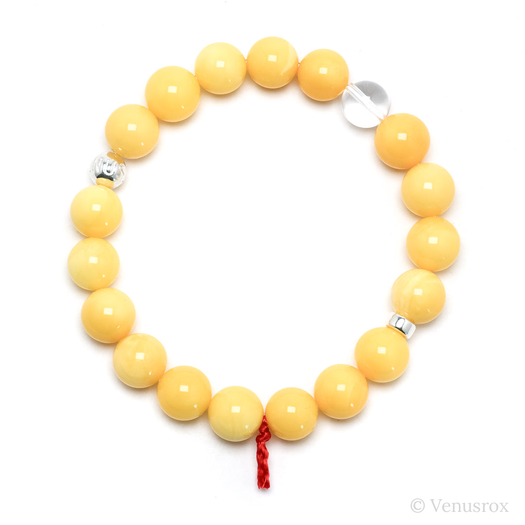 Amber Bracelet from The Baltics | Venusrox