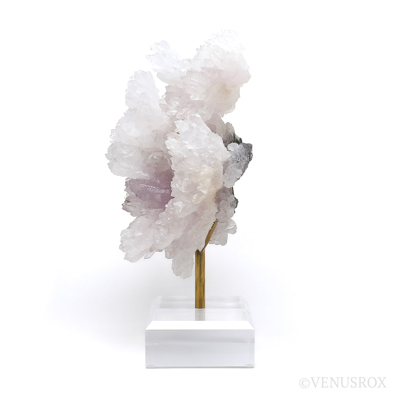 Amethyst Natural 'Flower' from Ametista do Sul, Alto Uruguai region, Rio Grande do Sul, Brazil, mounted on a bespoke stand | Venusrox