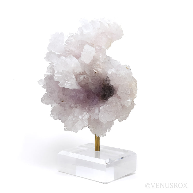 Amethyst Natural 'Flower' from Ametista do Sul, Alto Uruguai region, Rio Grande do Sul, Brazil, mounted on a bespoke stand | Venusrox