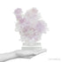 Amethyst Natural 'Flower' from Ametista do Sul, Alto Uruguai region, Rio Grande do Sul, Brazil, mounted on a bespoke stand | Venusrox