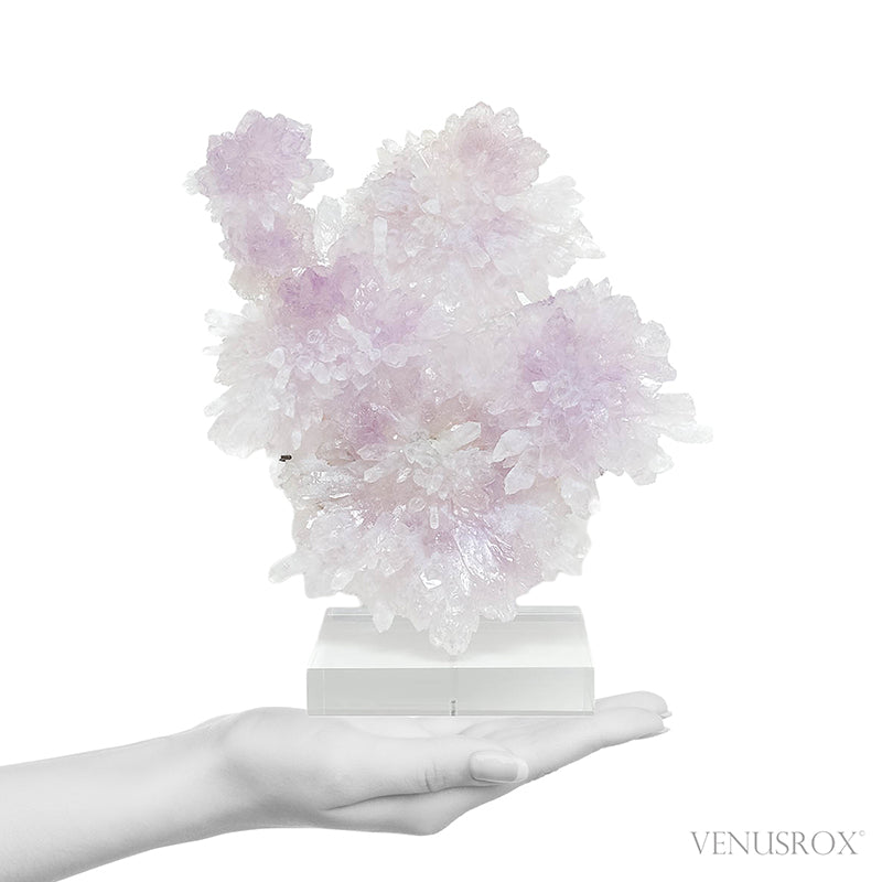 Amethyst Natural 'Flower' from Ametista do Sul, Alto Uruguai region, Rio Grande do Sul, Brazil, mounted on a bespoke stand | Venusrox