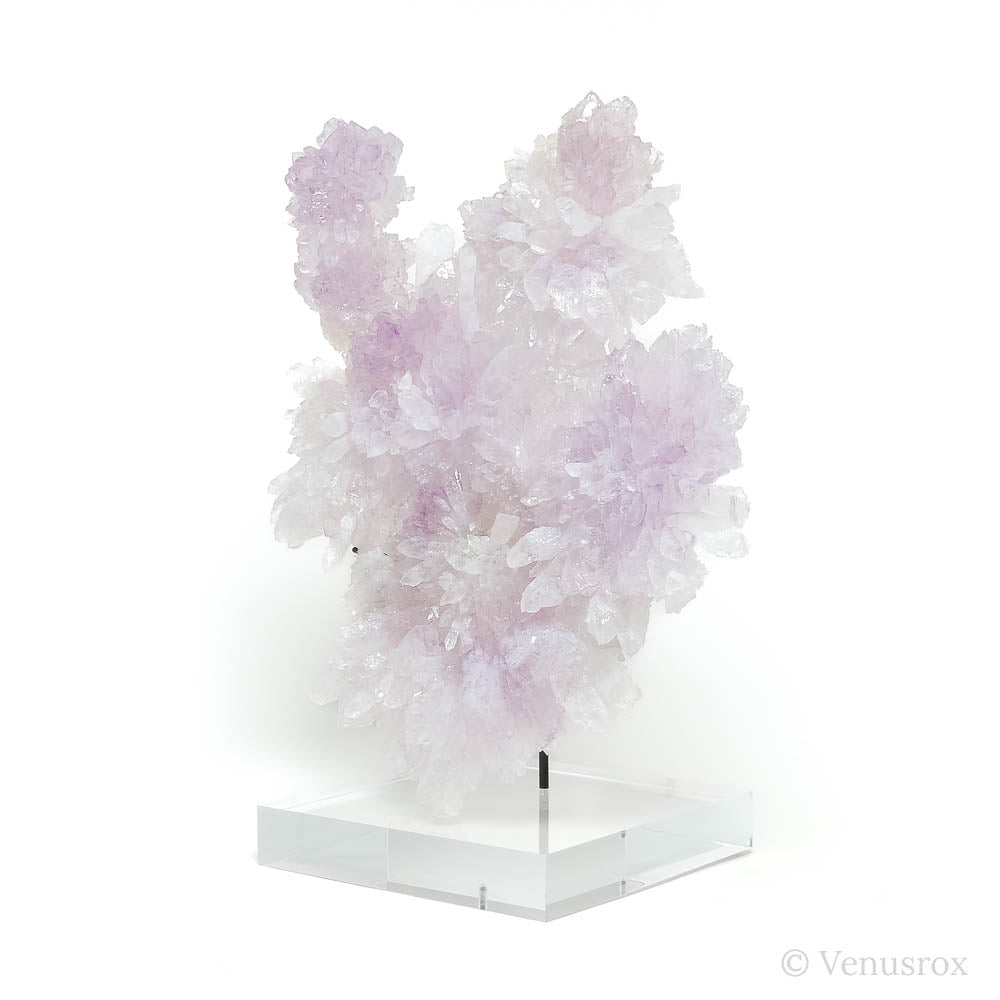 Amethyst Natural 'Flower' from Ametista do Sul, Alto Uruguai region, Rio Grande do Sul, Brazil, mounted on a bespoke stand | Venusrox