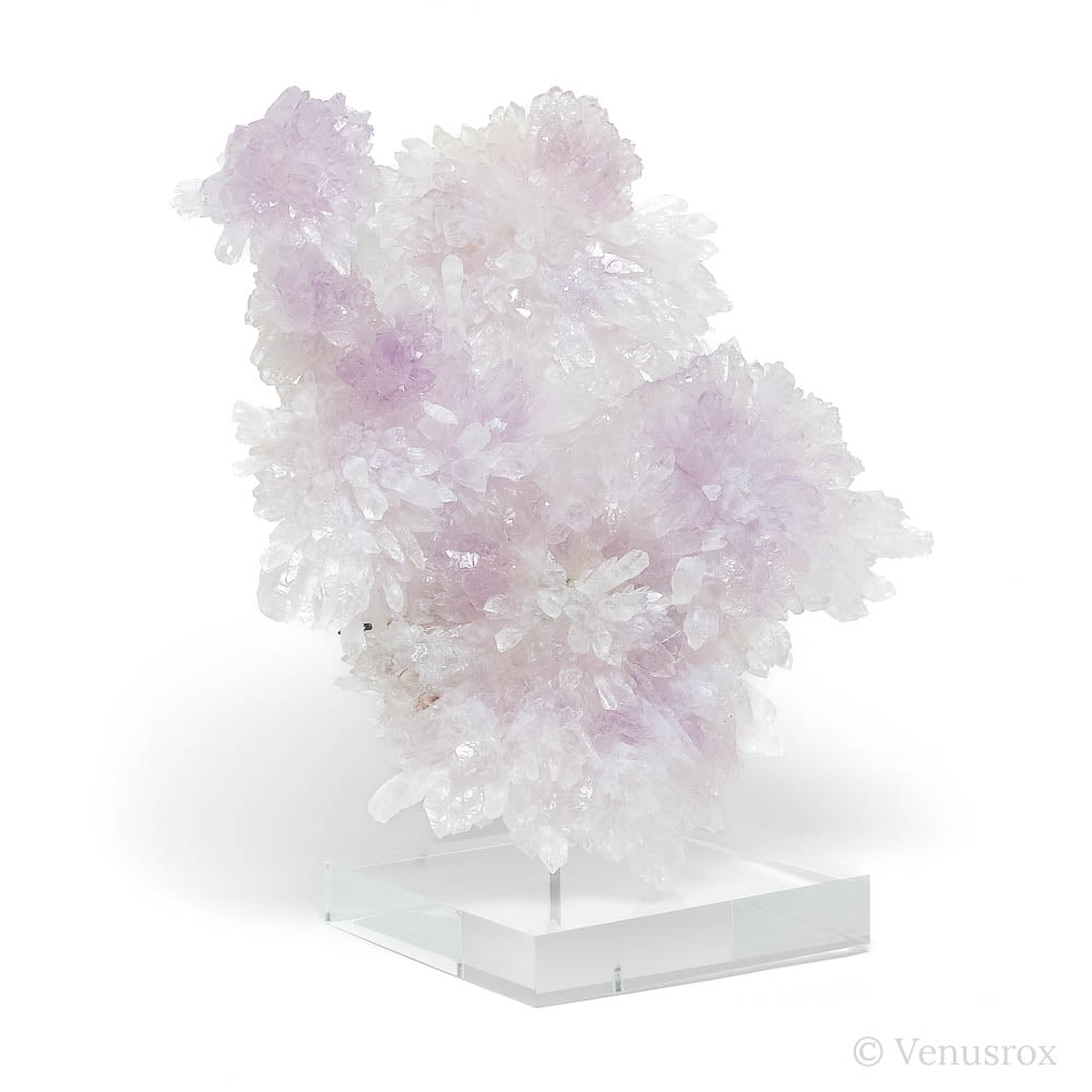 Amethyst Natural 'Flower' from Ametista do Sul, Alto Uruguai region, Rio Grande do Sul, Brazil, mounted on a bespoke stand | Venusrox