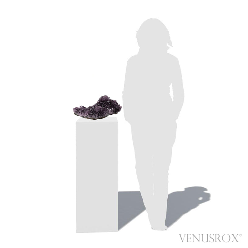 Amethyst Natural Cluster from Uruguay | Venusrox