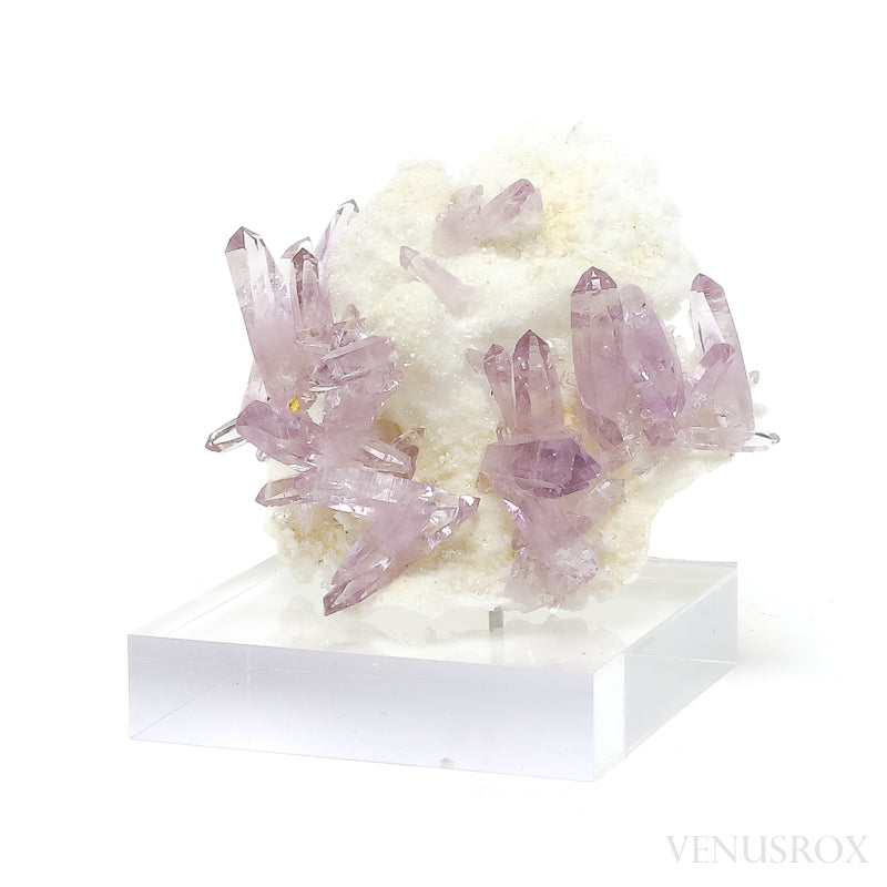 Amethyst (Vera Cruz) Natural Cluster from the Piedra Parada, near Las Vigas, Tatatila, Veracruz, Mexico | Venusrox