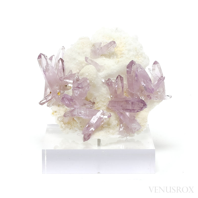 Amethyst (Vera Cruz) Natural Cluster from the Piedra Parada, near Las Vigas, Tatatila, Veracruz, Mexico | Venusrox