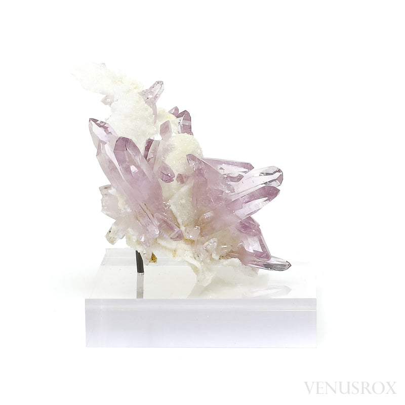 Amethyst (Vera Cruz) Natural Cluster from the Piedra Parada, near Las Vigas, Tatatila, Veracruz, Mexico | Venusrox