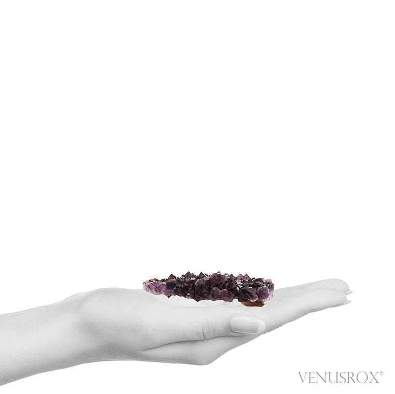 Amethyst with Hematite Natural Cluster from Thunder Bay, Ontario, Canada | Venusrox