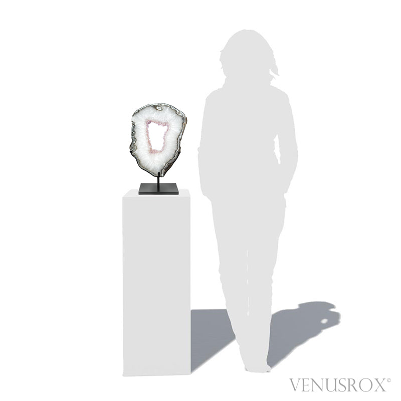 Amethyst with Clear Quartz Part Polished/Part Natural Slice from Brazil mounted in a bespoke stand | Venusrox