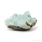 Green Apophyllite on Matrix Natural Cluster from Jalgaon, Maharashtra, India | Venusrox