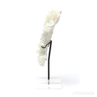 Green Apophyllite with Stilbite Natural Cluster from Maharashtra, India mounted on a bespoke stand | Venusrox