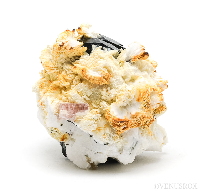 Aquamarine & Pink Apatite on Black Tourmaline & Albite Natural Cluster from Skardu, Gilgit-Baltistan, Pakistan | Venusrox