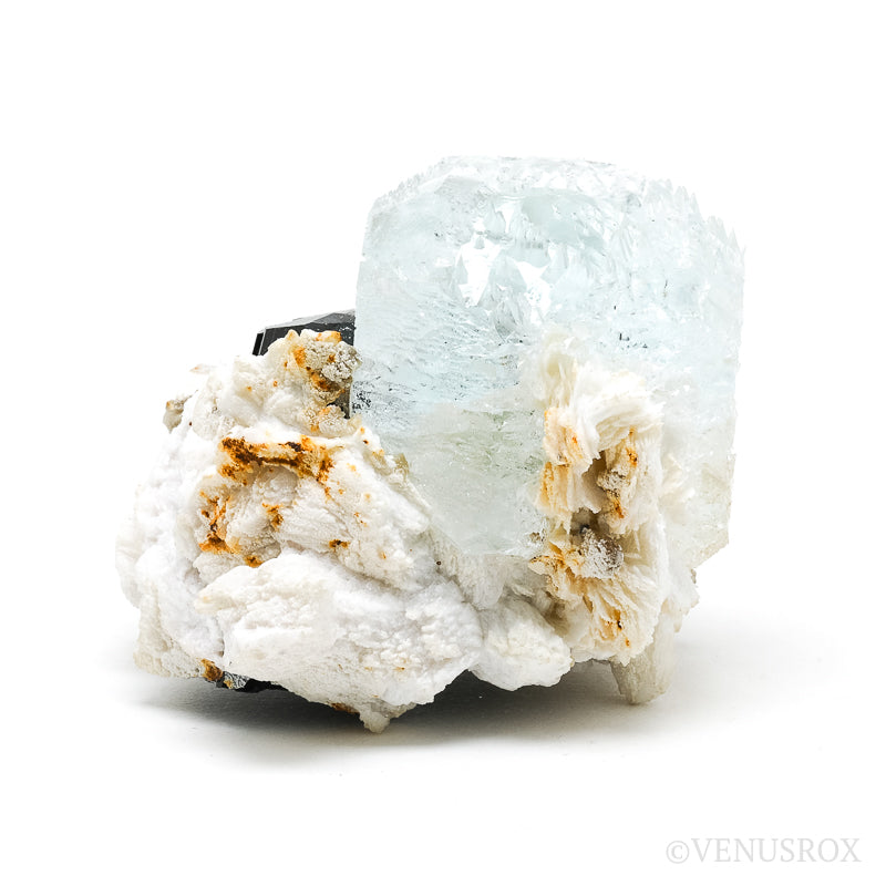 Aquamarine & Muscovite on Black Tourmaline & Albite Natural Cluster from Skardu, Gilgit-Baltistan, Pakistan | Venusrox