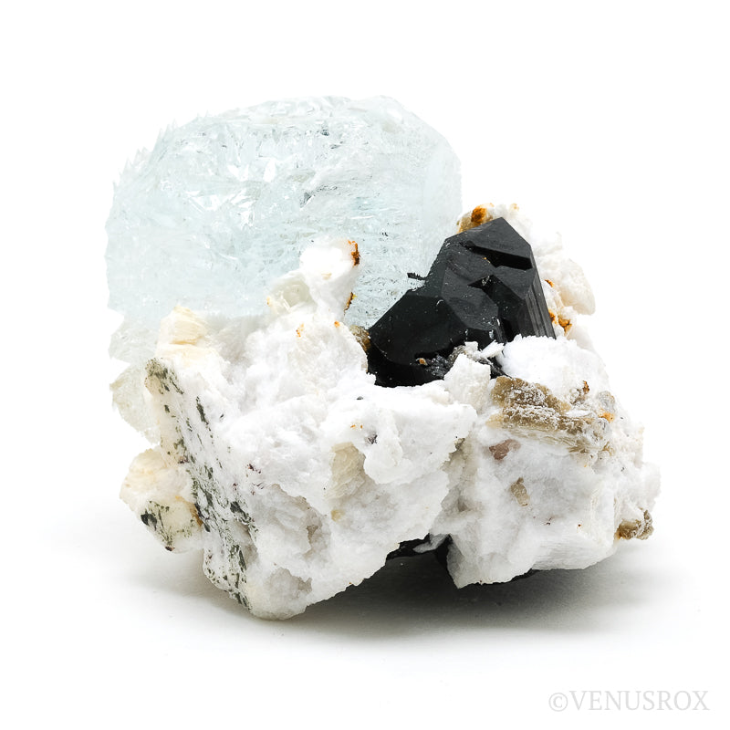 Aquamarine & Muscovite on Black Tourmaline & Albite Natural Cluster from Skardu, Gilgit-Baltistan, Pakistan | Venusrox