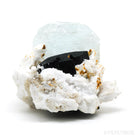 Aquamarine & Muscovite on Black Tourmaline & Albite Natural Cluster from Skardu, Gilgit-Baltistan, Pakistan | Venusrox