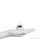 Aquamarine & Muscovite on Black Tourmaline & Albite Natural Cluster from Skardu, Gilgit-Baltistan, Pakistan | Venusrox