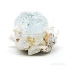 Aquamarine & Muscovite on Black Tourmaline & Albite Natural Cluster from Skardu, Gilgit-Baltistan, Pakistan | Venusrox