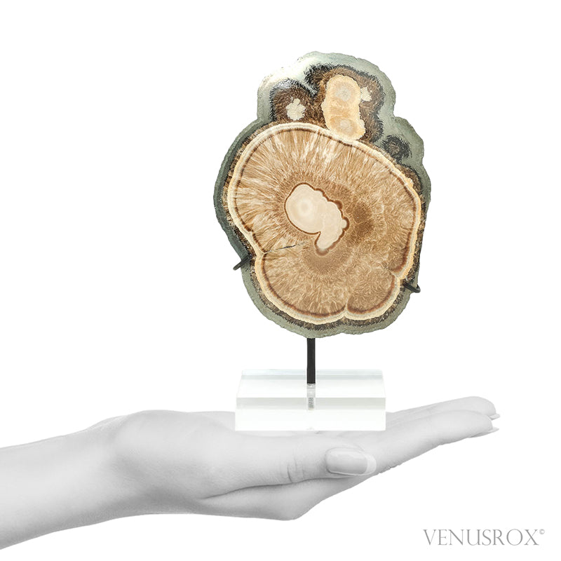 Barite & Marcasite Polished/Natural Crystal from the Lubin Mine, Silezia, Poland mounted on a bespoke stand | Venusrox