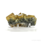 Barite Cluster from Xiefang Mine, Ruijin County, Ganzhou, Jiangxi, China, mounted on a bespoke stand | Venusrox