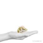 Brazilianite on Microcline Natural Specimen from the Telirio Mine, Linopolis District, Divino Das Laranjeiras, Minas Gerais, Brazil | Venusrox