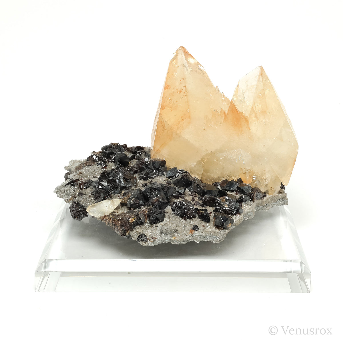 Stellar Beam Calcite on Sphalerite Natural Cluster from the Elmwood Mine, Tennessee, USA mounted on a bespoke stand | Venusrox