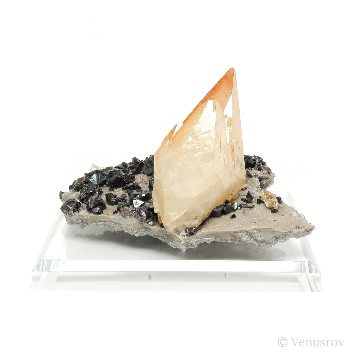 Stellar Beam Calcite on Sphalerite Natural Cluster from the Elmwood Mine, Tennessee, USA mounted on a bespoke stand | Venusrox