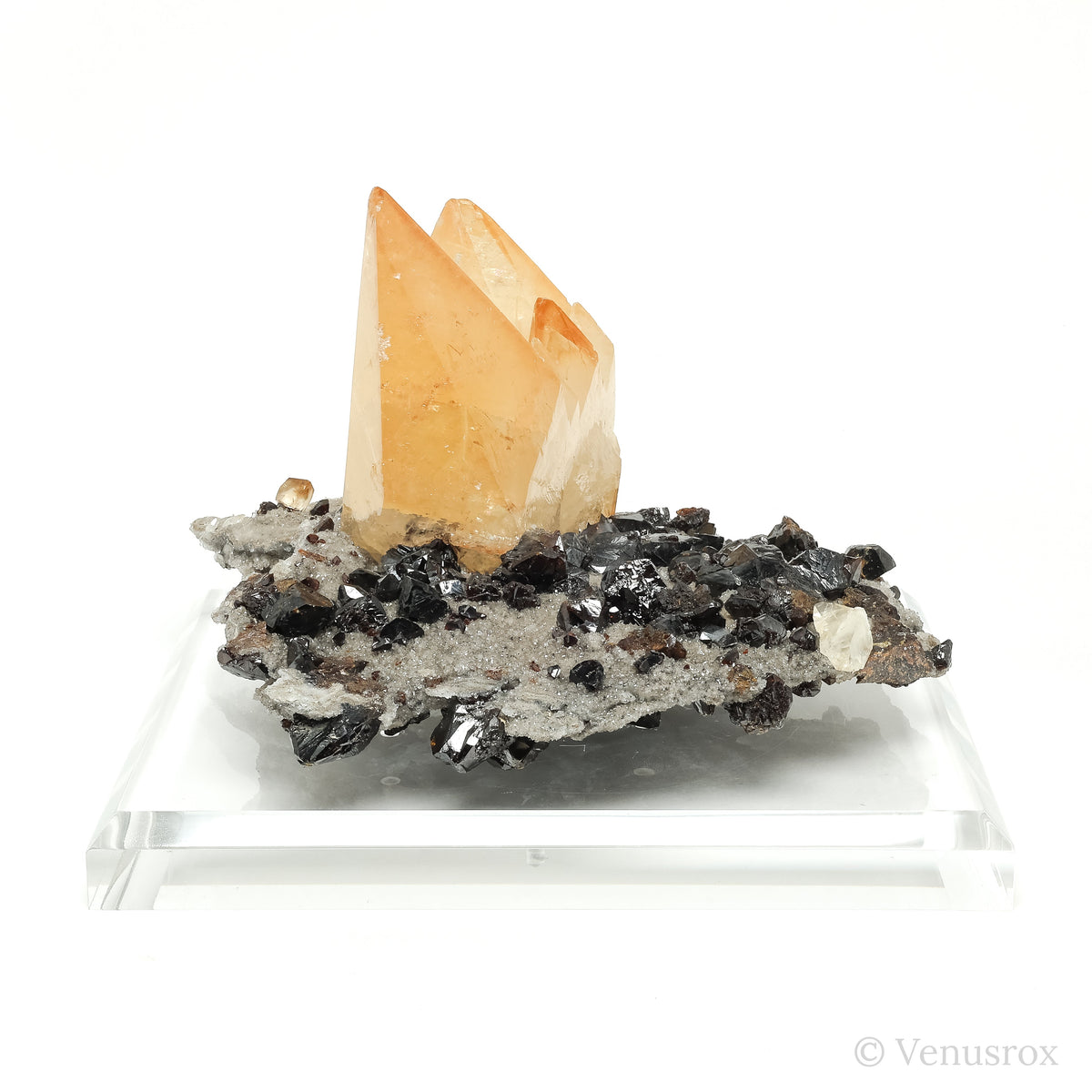 Stellar Beam Calcite on Sphalerite Natural Cluster from the Elmwood Mine, Tennessee, USA mounted on a bespoke stand | Venusrox