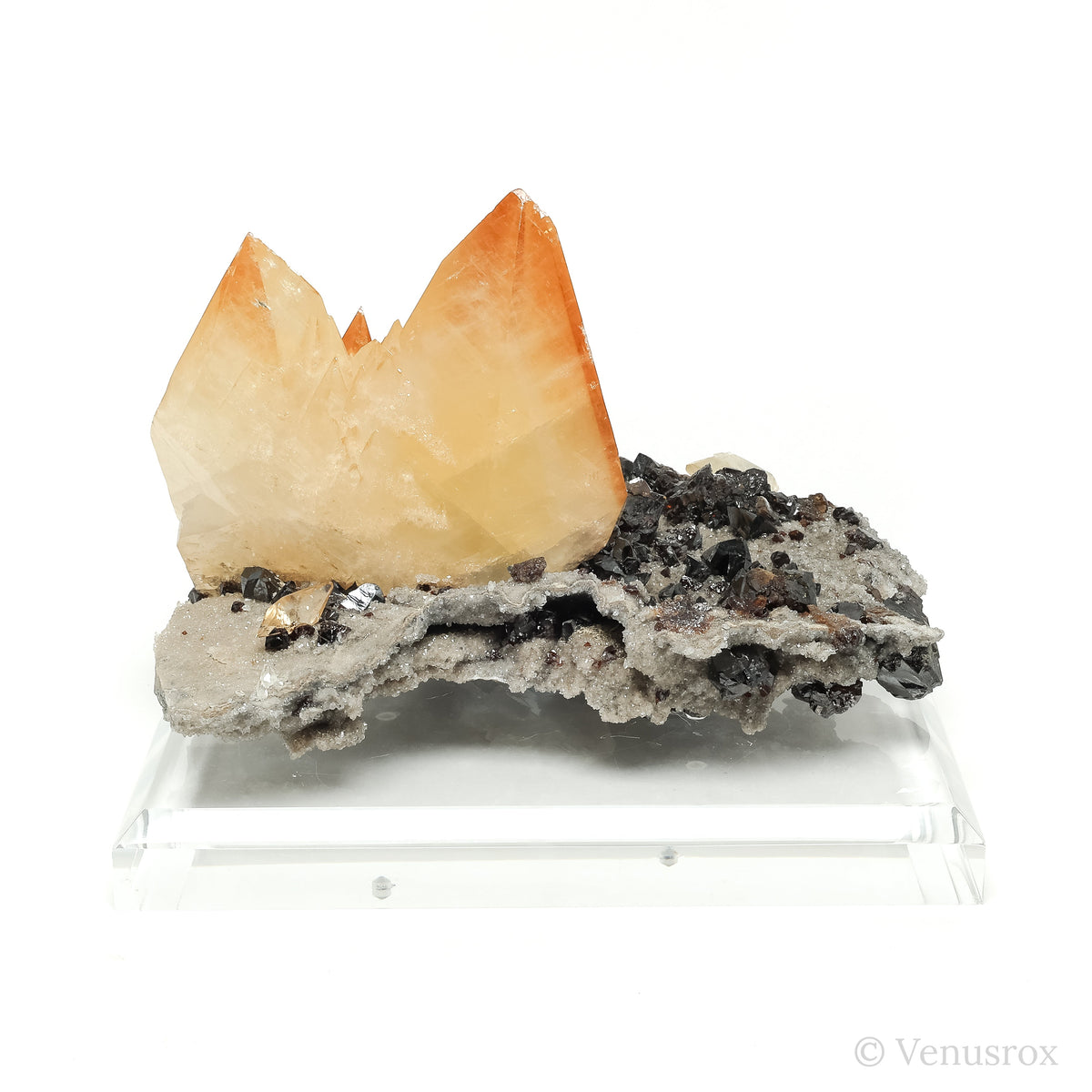 Stellar Beam Calcite on Sphalerite Natural Cluster from the Elmwood Mine, Tennessee, USA mounted on a bespoke stand | Venusrox