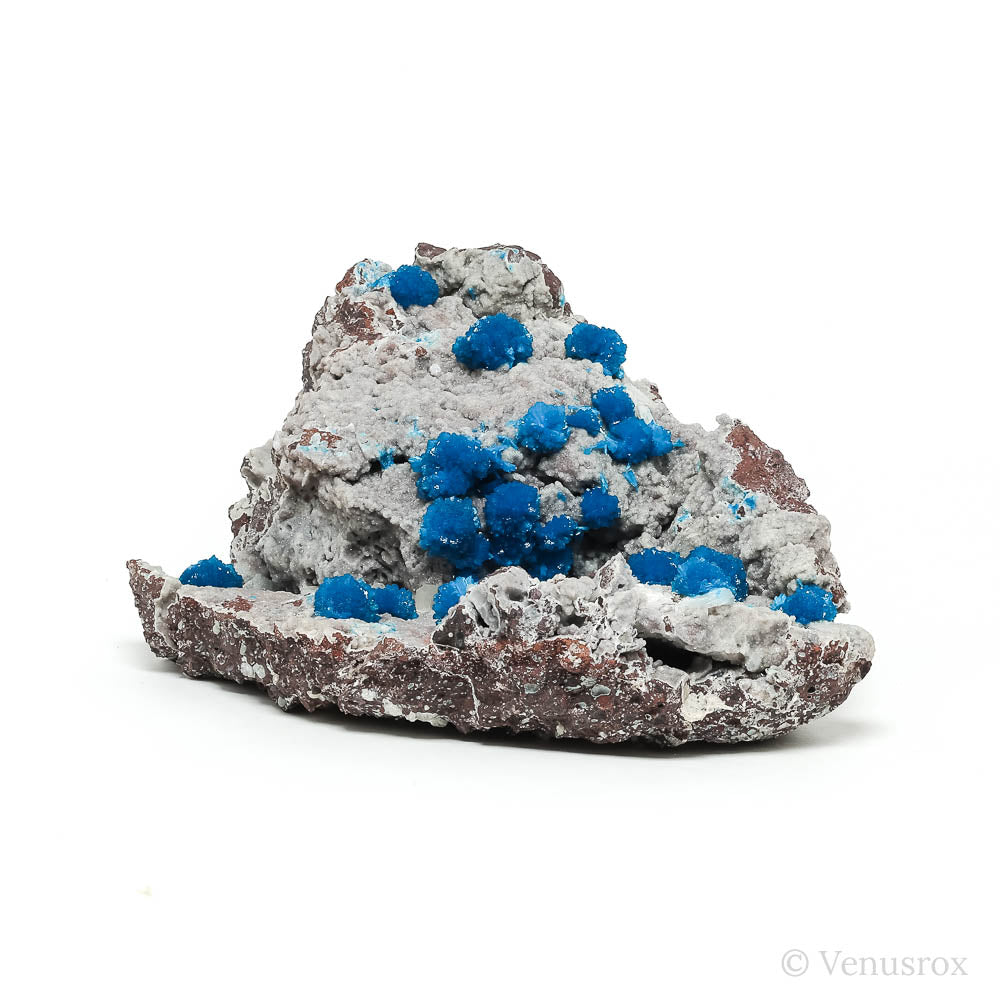 Cavansite on Matrix Natural Cluster from India | Venusrox