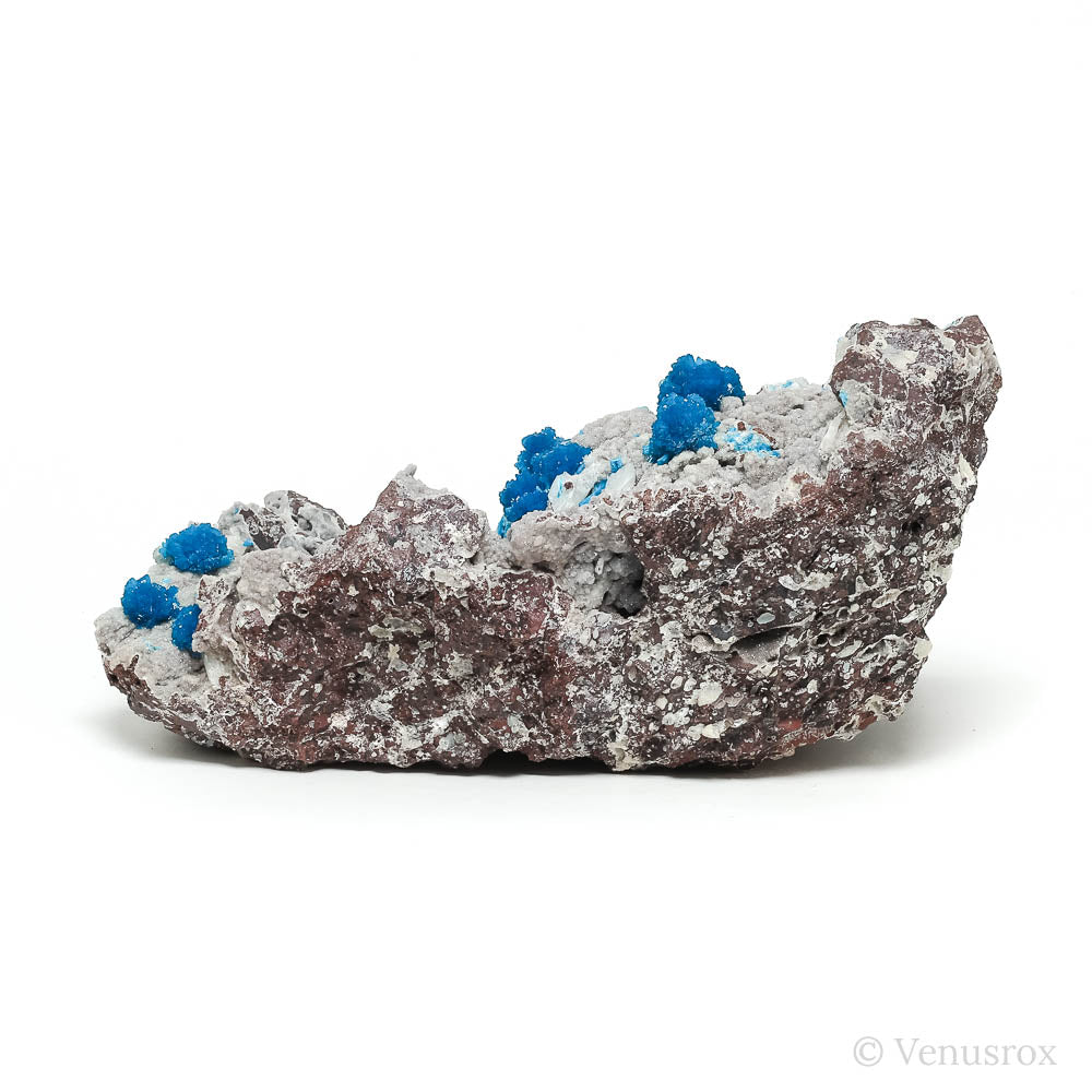 Cavansite on Matrix Natural Cluster from India | Venusrox
