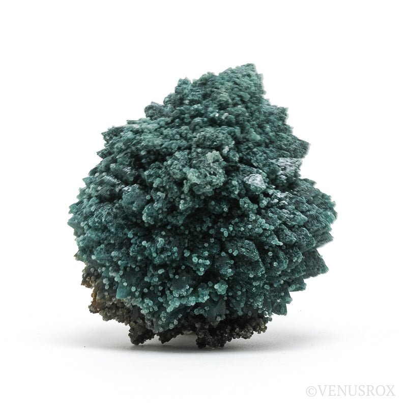 Celadonite included Apophyllite Natural Cluster from Jalgaon, Maharashtra, India | Venusrox