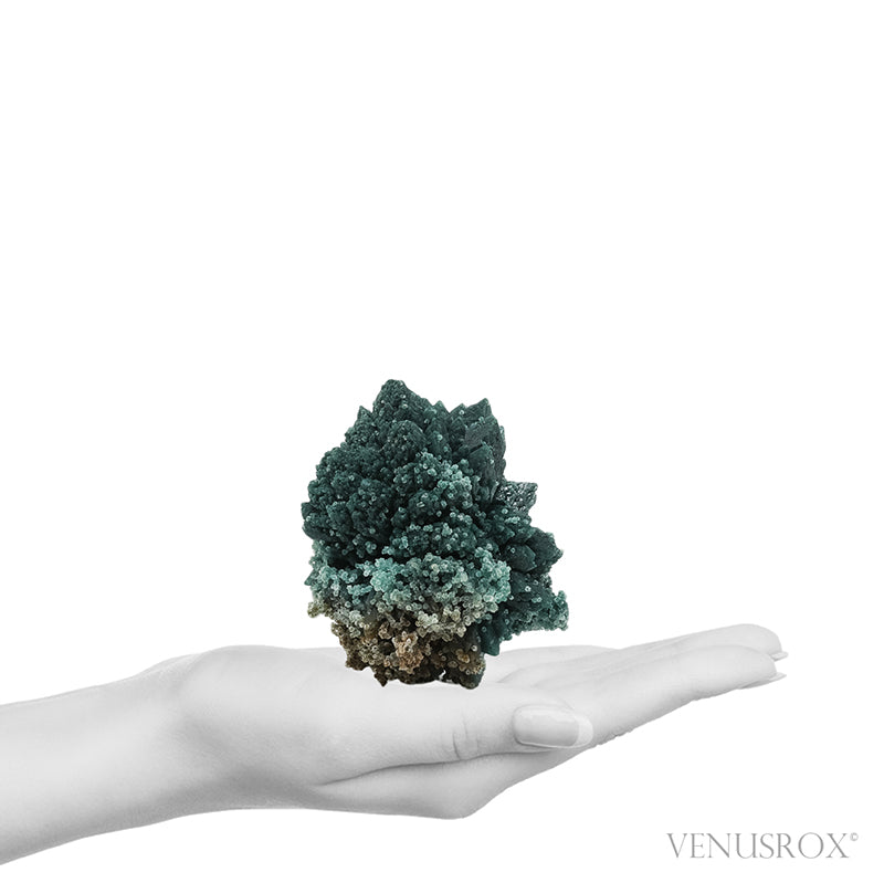 Celadonite included Apophyllite Natural Cluster from Jalgaon, Maharashtra, India | Venusrox