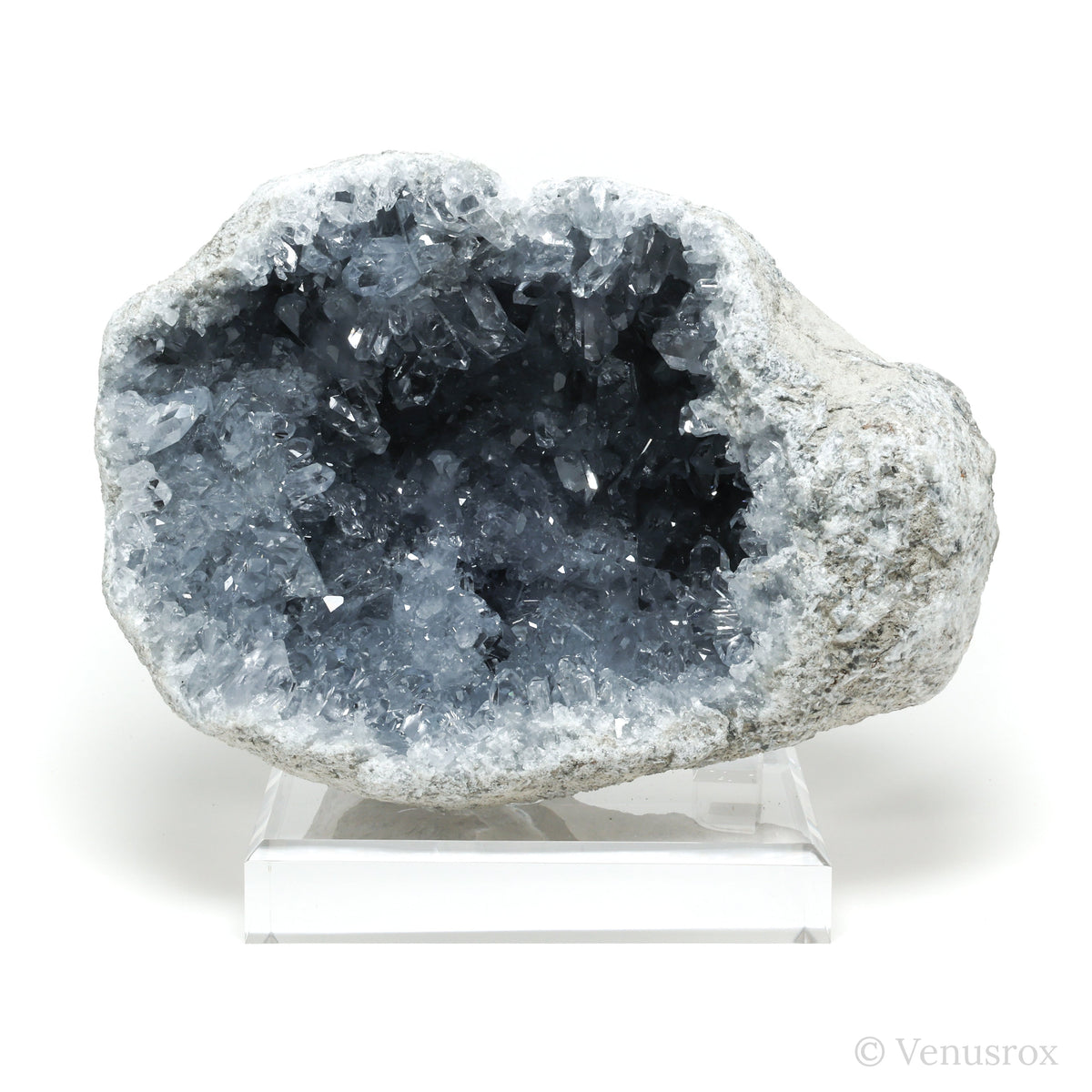 Blue Celestite on Matrix Natural Cluster mounted on a bespoke stand from Madagascar | Venusrox