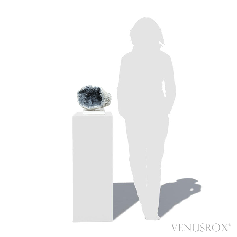 Blue Celestite on Matrix Natural Cluster mounted on a bespoke stand from Madagascar | Venusrox