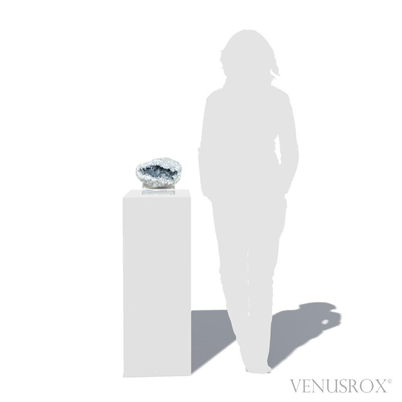 Blue Celestite on Matrix Natural Cluster mounted on a bespoke stand from Madagascar | Venusrox